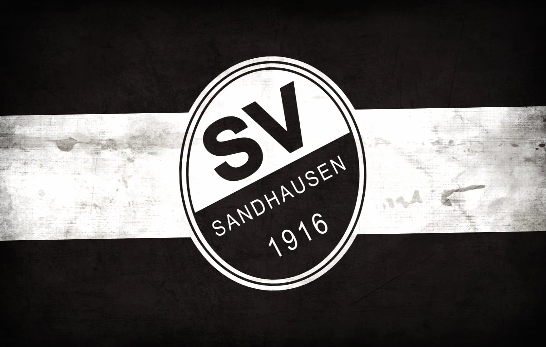 SV Sandhausen at 1024 x 1024 iPad size wallpapers HD quality