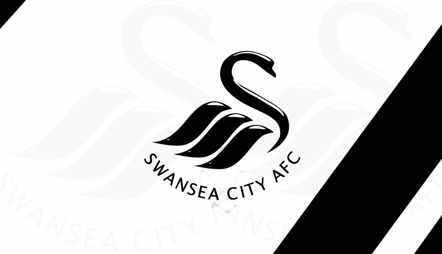 Swansea City A.F.C at 750 x 1334 iPhone 6 size wallpapers HD quality