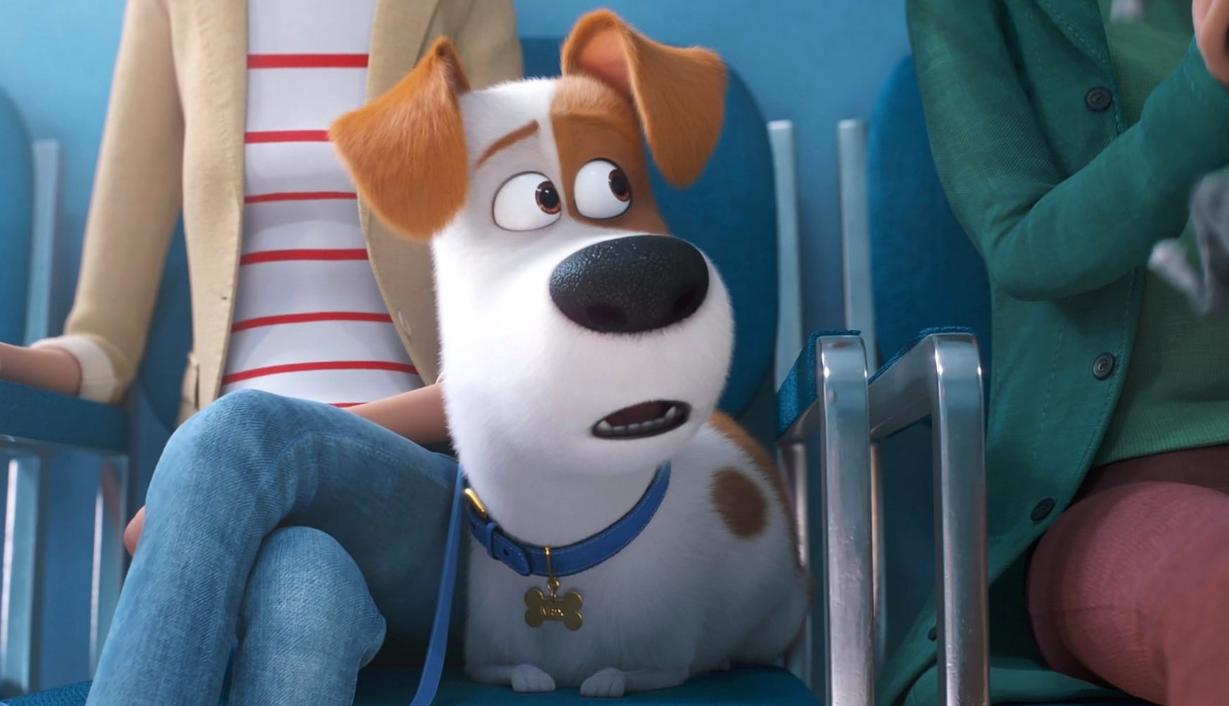 The Secret Life of Pets 2 at 1024 x 768 size wallpapers HD quality