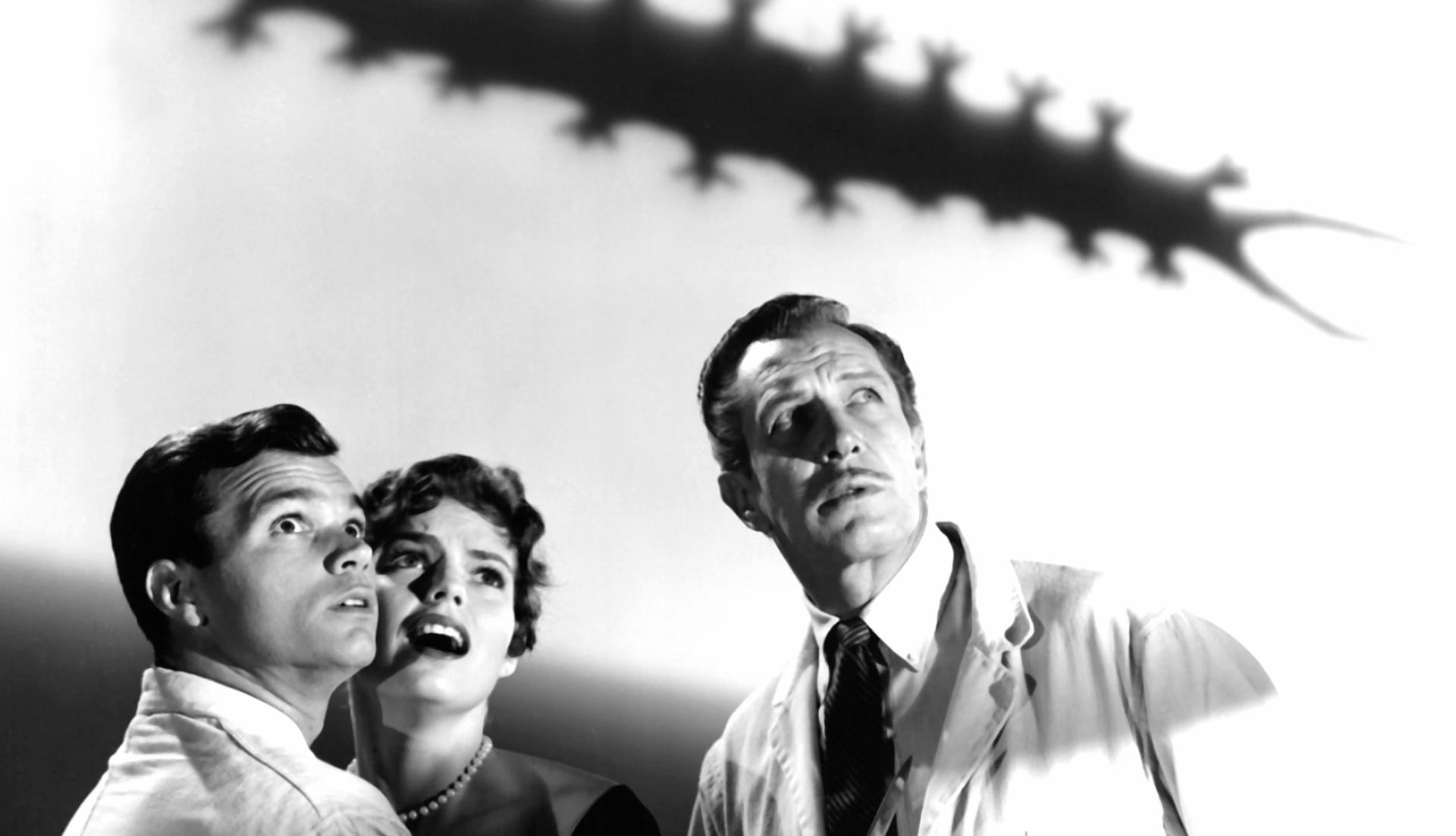 The Tingler at 1152 x 864 size wallpapers HD quality