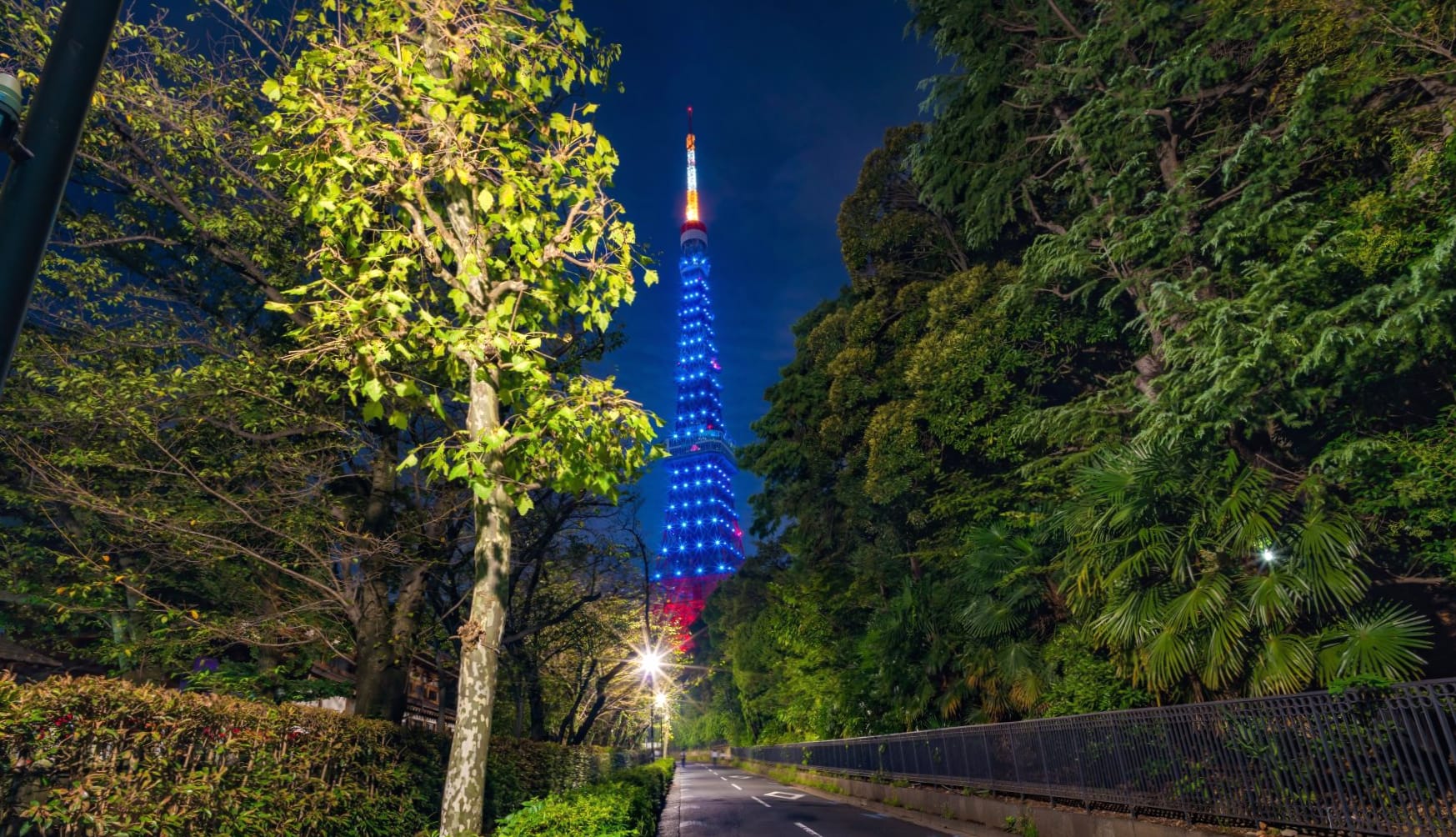 Tokyo Tower wallpapers HD quality