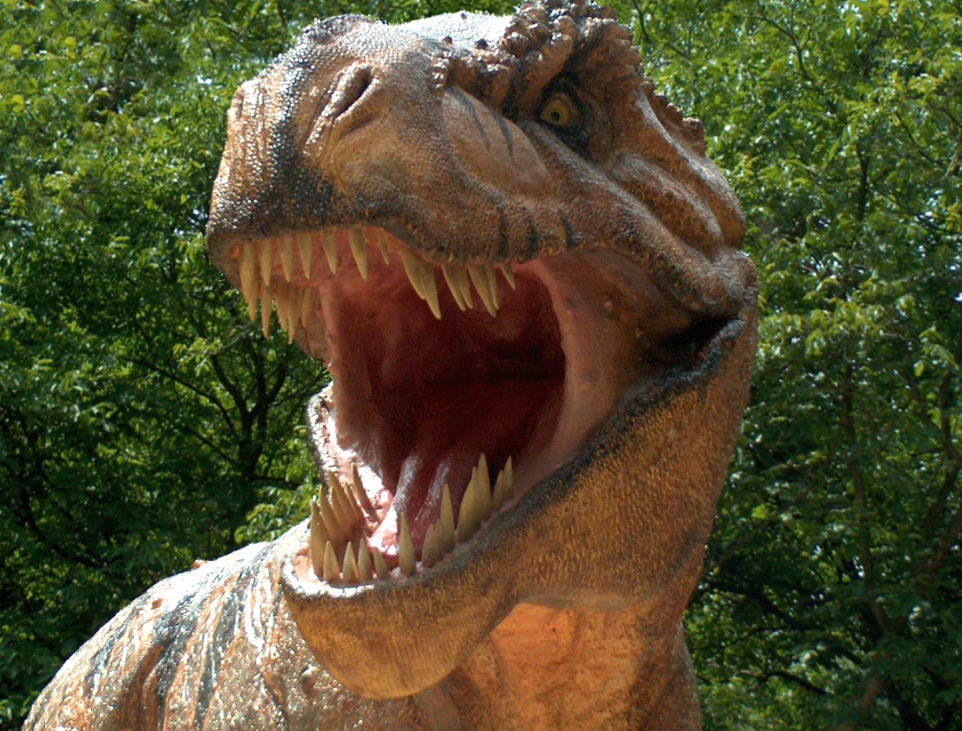 Tyrannosaurus Rex at 320 x 480 iPhone size wallpapers HD quality