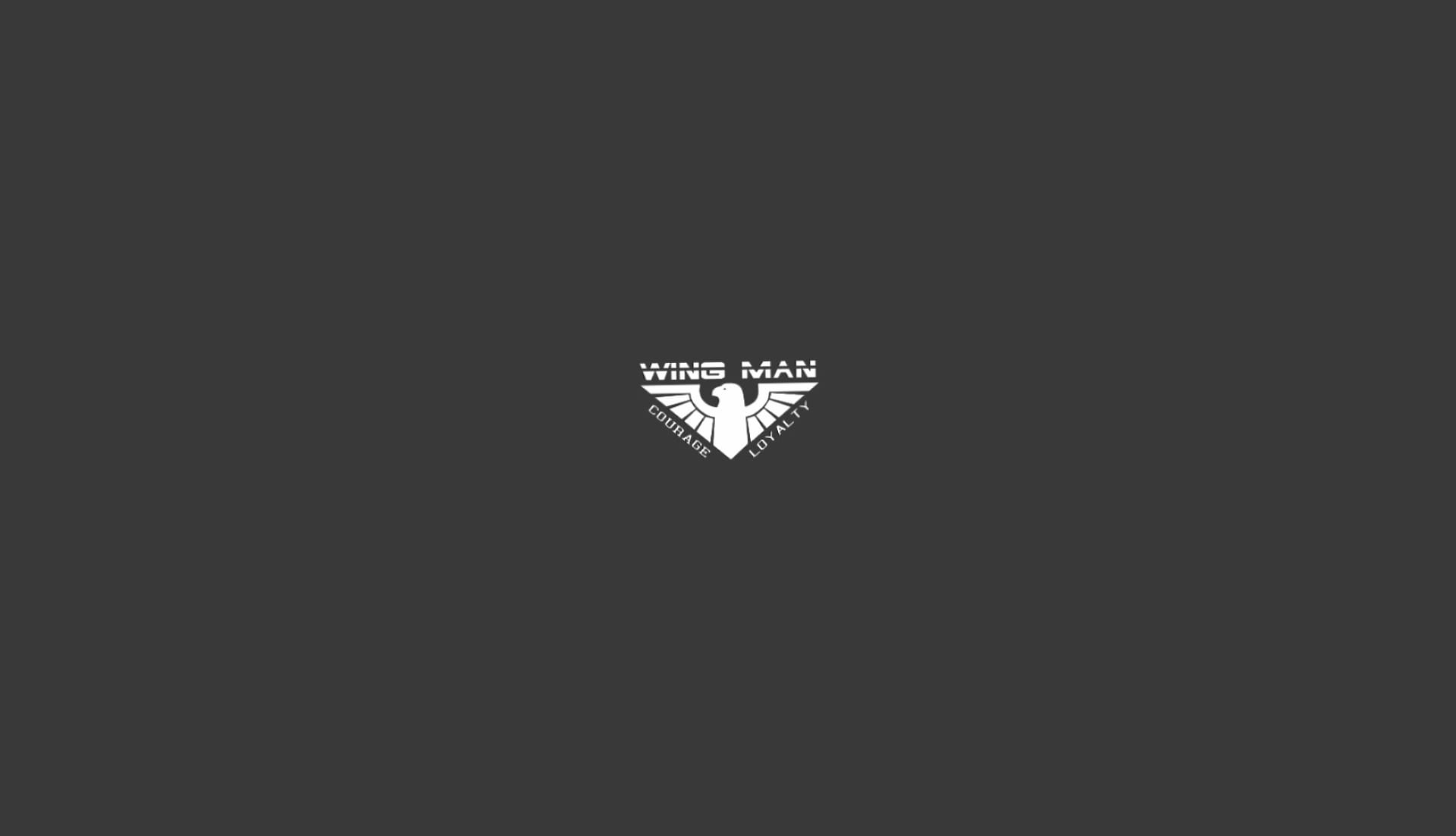 Wingman at 1334 x 750 iPhone 7 size wallpapers HD quality