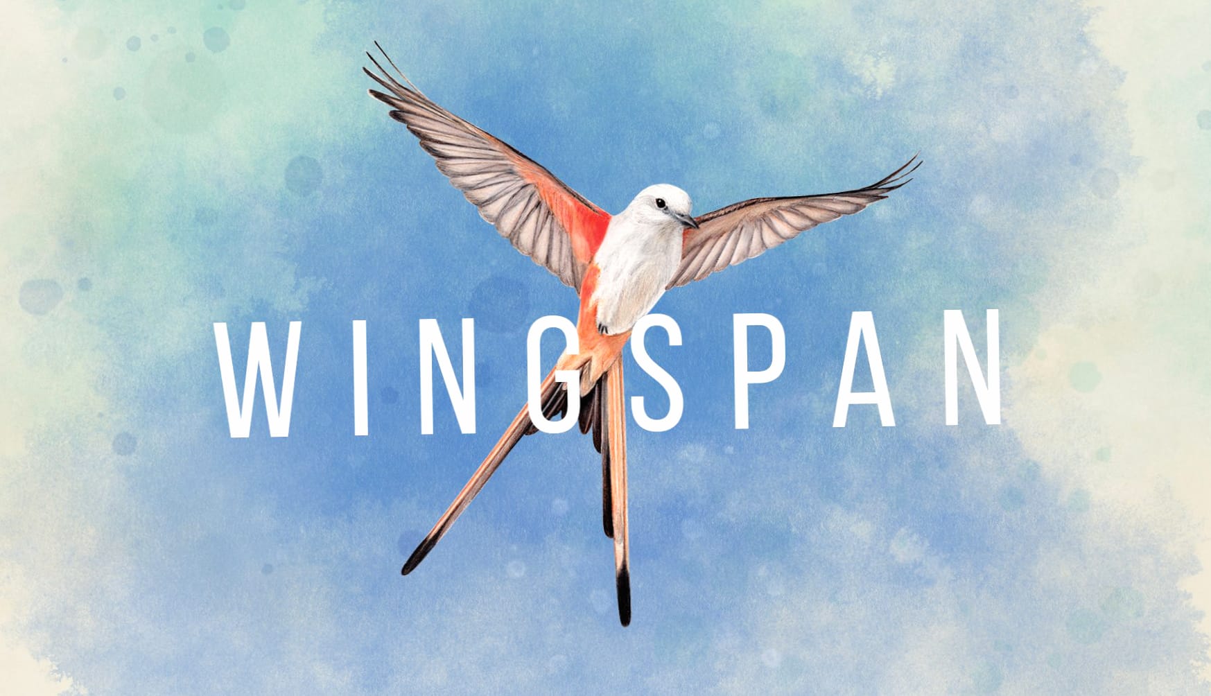 Wingspan at 640 x 1136 iPhone 5 size wallpapers HD quality