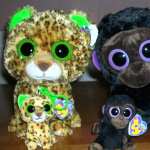 Beanie Boos pic