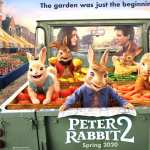 Peter Rabbit 2 The Runaway widescreen