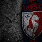 Lille OSC background