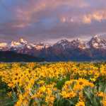 Grand Teton National Park wallpapers for android