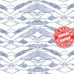 FC Bayern Munich wallpapers hd