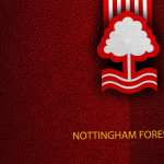 Nottingham Forest F.C desktop wallpaper