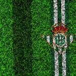 Real Betis download wallpaper