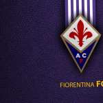ACF Fiorentina hd wallpaper