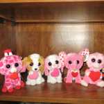 Beanie Boos hd pics