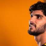 Goncalo Guedes high definition photo