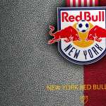 New York Red Bulls image
