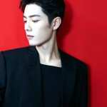 Xiao Zhan high definition wallpapers