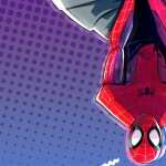 Spider-Man Into The Spider-Verse download wallpaper