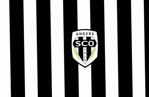 Angers SCO wallpapers hd quality