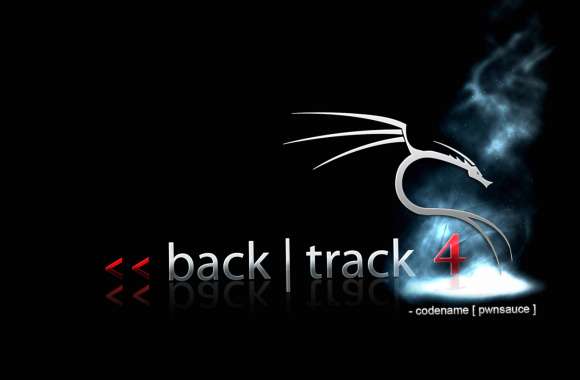 Back track 4