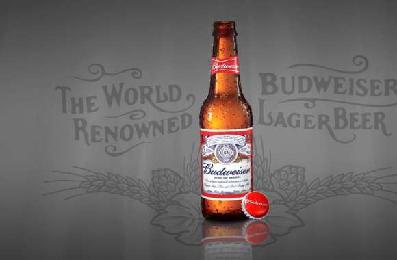 Budweiser wallpapers hd quality