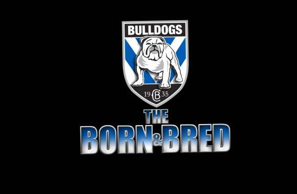 Canterbury-Bankstown Bulldogs wallpapers hd quality