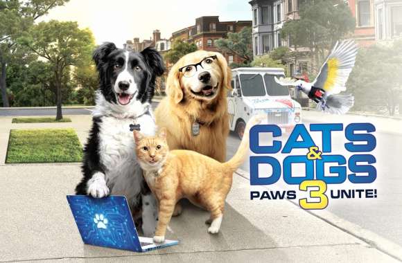 Cats Dogs 3 Paws Unite! wallpapers hd quality