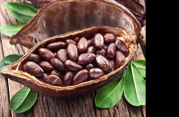 Cocoa Bean wallpapers hd quality