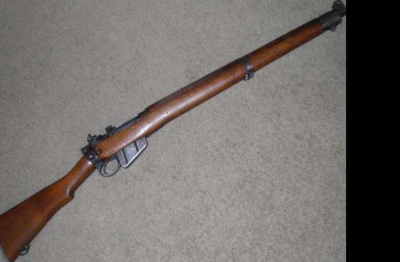 Enfield 303 British Rifle