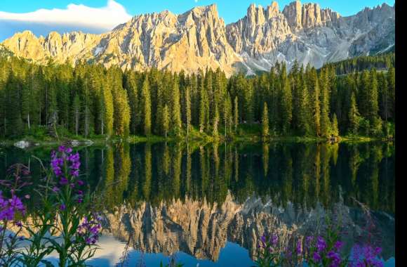 Lake Carezza wallpapers hd quality