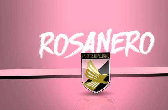 Palermo F.C wallpapers hd quality