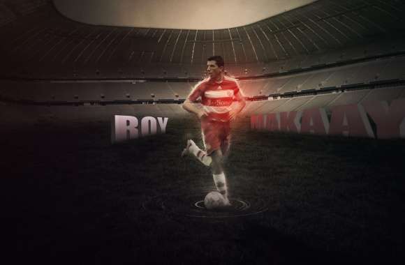 Roy Makaay wallpapers hd quality
