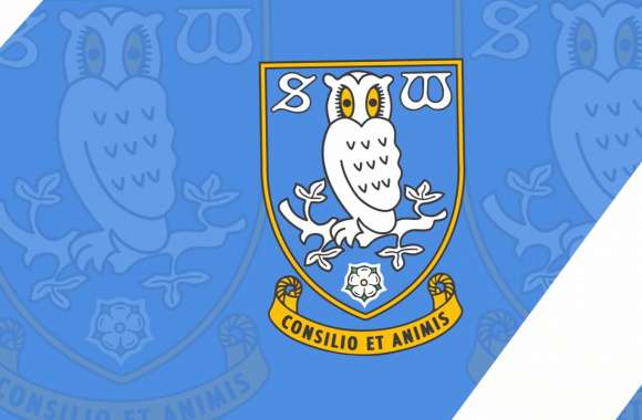 Sheffield Wednesday F.C wallpapers hd quality