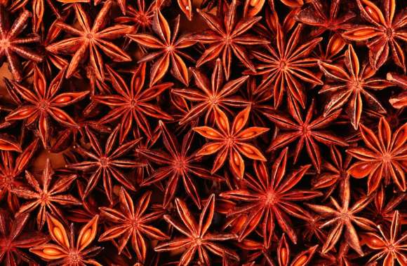 Star Anise wallpapers hd quality