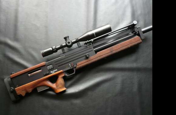 Walther Wa 2000 Rifle