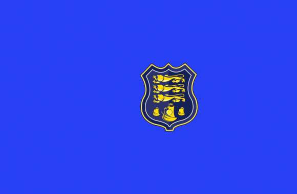 Waterford F.C wallpapers hd quality