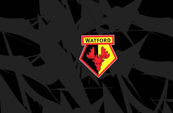 Watford F.C wallpapers hd quality