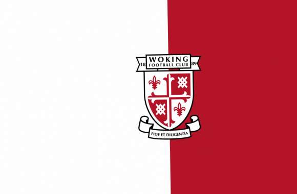 Woking F.C wallpapers hd quality