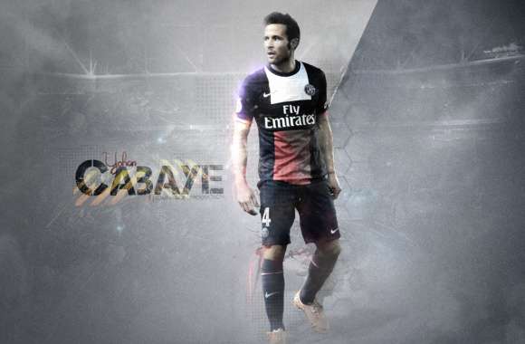 Yohan Cabaye wallpapers hd quality