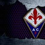 ACF Fiorentina new wallpapers