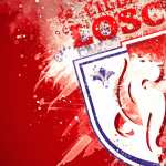 Lille OSC wallpapers hd