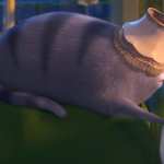 The Secret Life of Pets 2 wallpapers hd