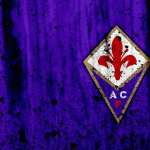 ACF Fiorentina high definition photo
