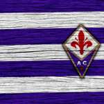 ACF Fiorentina hd