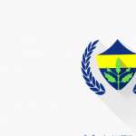 Fenerbahce S.K high definition wallpapers