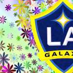 LA Galaxy background