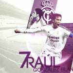 Raul Gonzalez Blanco download wallpaper