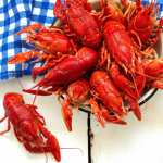 Crawfish high quality wallpapers