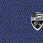 FC Lorient high definition photo