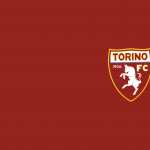 Torino F.C wallpapers for iphone