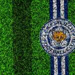 Leicester City F.C widescreen